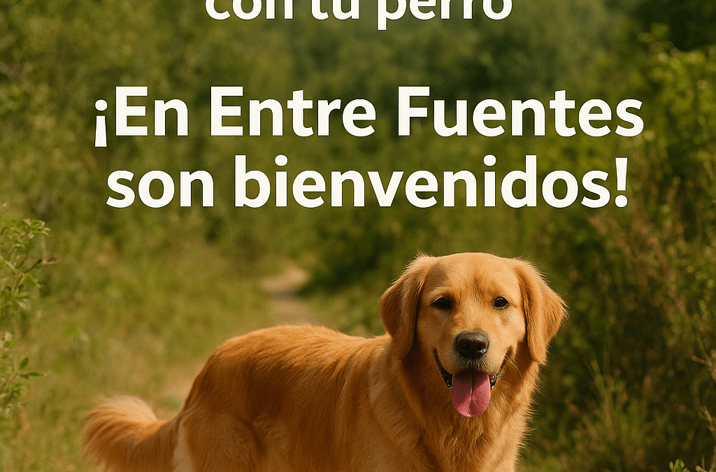 Disfruta La Vera con tu perro: en Entre Fuentes son bienvenidos