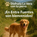 Alojamiento donde esta su perro bienvenido