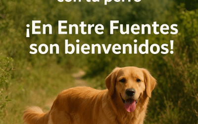 Disfruta La Vera con tu perro: en Entre Fuentes son bienvenidos